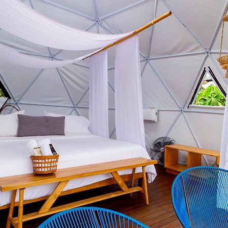 Ecohotel Monte Tierra Habitaciones Y Glamping ฟิลานเดีย ภายนอก รูปภาพ
